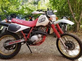 TTRE 600 YAMAHA BLANC